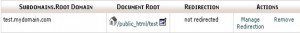 Subdomains list showing options to Remove or Manage Redirection for current subdomains