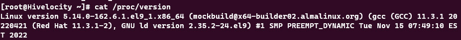 Screenshot showing the results of the cat /proc/version command.