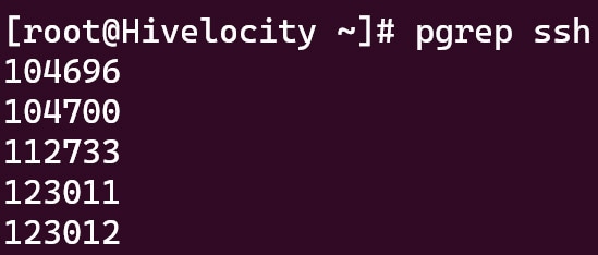 Screenshot showing the results of the pgrep ssh command.