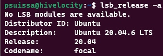 Screenshot showing the results of the lsb_release -a command.