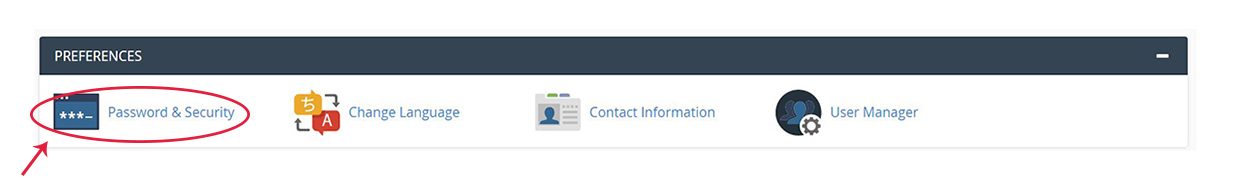 Screenshot of the cPanel Preferences section with the Password & Security icon highlighted