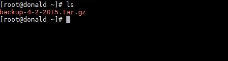 CODE: /root/backup-4-2-2015.tar.gz