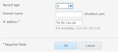 Window showing the options for editing an existing record, including "record type", "domain name", and "IP Address"