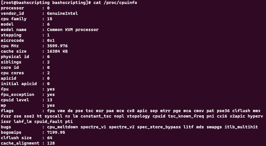 Screenshot showing the results of the cat /proc/cpuinfo command.