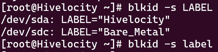 Screenshot showing the results of the blkid -s LABEL command.