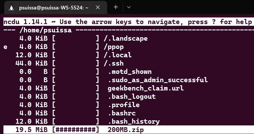 Screenshot of the NCurses Disk Usage (ncdu) interface