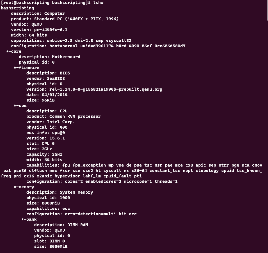 screenshot showing the results of the lshw command.