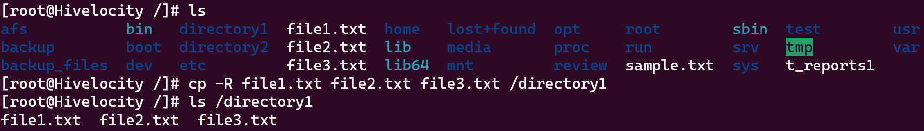 Screenshot showing the results of the command cp -R file1.txt file2.txt file3.txt /directory1.