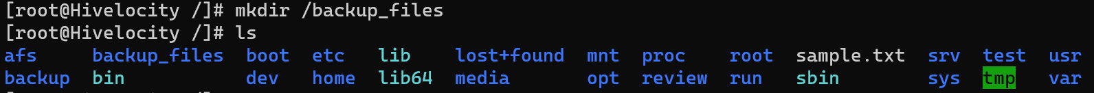 Screenshot showing the results of the mkdir /backup_files command.