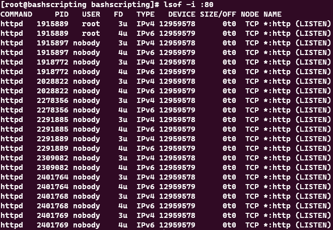 Screenshot showing the results of the command lsof -i :80.