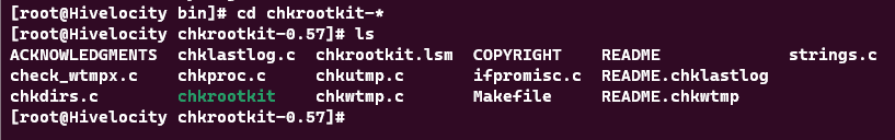 Screenshot showing the results of the cd chkrootkit-* command.
