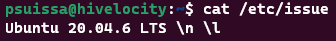 Screenshot showing the results of the cat /etc/issue command.