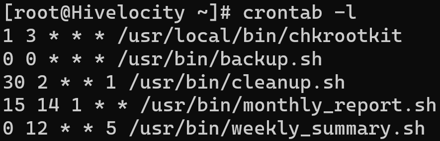 Screenshot showing the result of the crontab -l
 command.