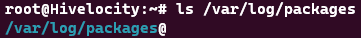 Screenshot showing the results of the ls /var/log/packages command.