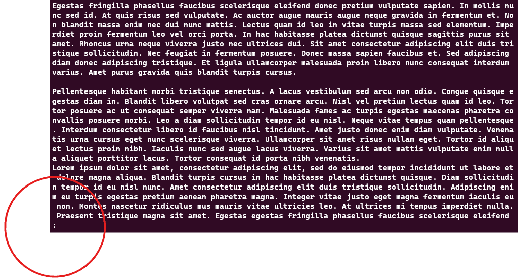 Screenshot showing the results of the less longlorem.txt command.