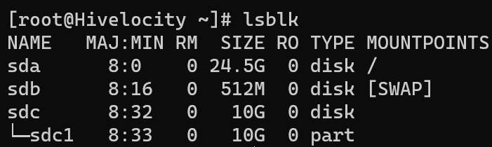 Screenshot showing the results of the lsblk command.