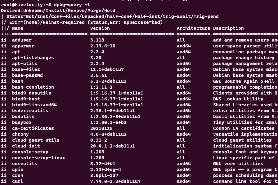 Screenshot showing the results of the dpkg-query -l command.