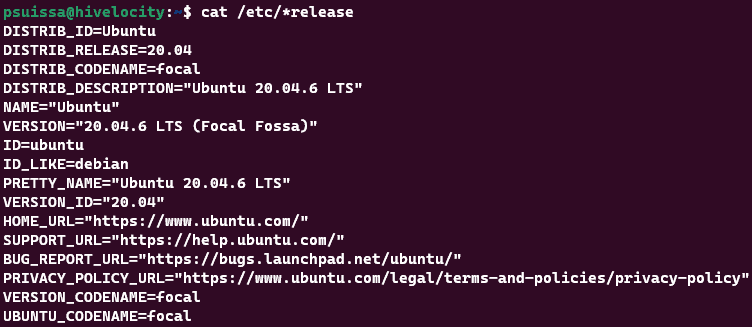 Screenshot showinf the results of the cat /etc/*release command.