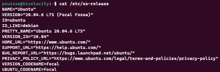 Screenshot showing the results of the cat /etc/os-release command.