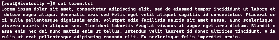 Screenshot showing the results of the cat lorem.txt command.