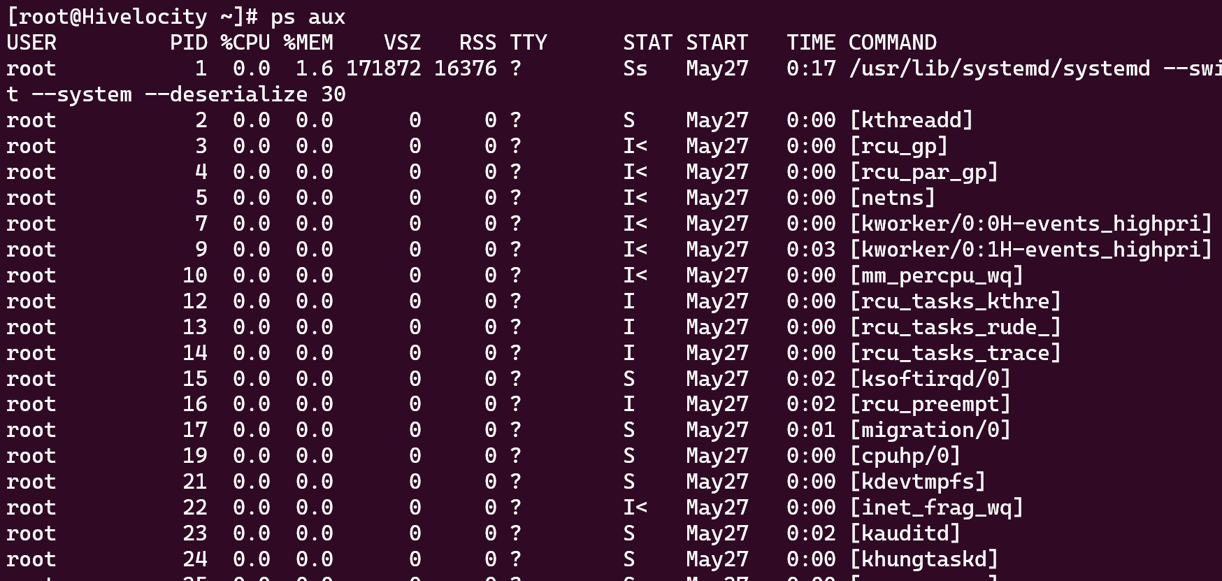 Screenshot showing the results of the ps aux command.