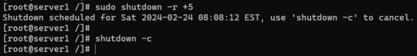 Using the shutdown Command to Reboot the Server with a 5 Minutes Delay