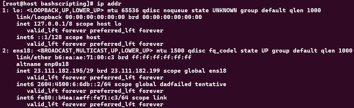 ip addr Output to Display Network Interface Details