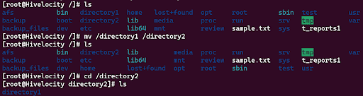 How to move a directories in Linux