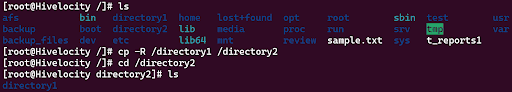 How to copy a directory in Linux