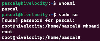 Showing the process of being able to change a user to root once in the sudo group