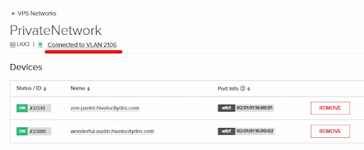 Confirming that the VPS Network is connected to the correct VLAN.